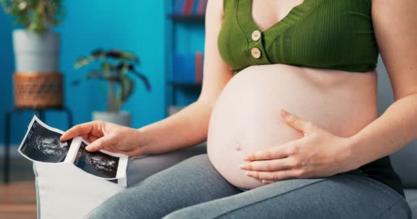 Крупный план большого беременного живота, за неделю до родов, руки матерей касается плода, который — стоковое видео