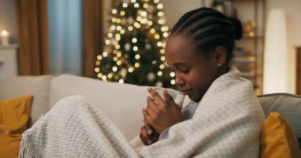 Young African Student Girl Sitting Sofa Living Room Girl Wrapped — Vídeo de stock