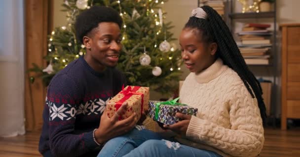 Aimant Couple Apparence Africaine Assis Près Sapin Noël Tenant Des — Video