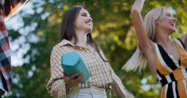 年轻的嬉皮士公司的朋友们一起在公园里嬉笑着在无线扬声器上听音乐 夏季风格 — 图库视频影像