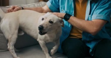 Bir adam rahatlamak için işten döndükten sonra oturma odasındaki kanepeye oturup köpeğiyle oynuyor. Hayvan insanın en iyi dostudur, birlikte vakit geçirir, ilgilenir..