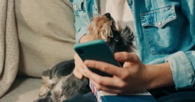 Bir adam köpeğini okşuyor, telefonunu kullanıyor, evcil hayvan için internetten yemek sipariş ediyor, akıllı telefondaki bir uygulama. Oturma odasındaki kanepede hayvanlarla vakit geçirmek..