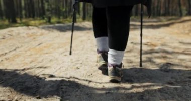 Spor ayakkabılarıyla kadın bacaklarının arkasından yakın plan çekimler. Ormanda bir patika boyunca yürüdükleri için. Ormanı yöneten sopa kadınla yürüdükleri için..