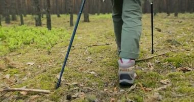 Arkasından yürüyüş botları giymiş, orman ormanında çimlerin üzerinde yürüyen kadın bacaklarına odaklan. Macera dış konsept .