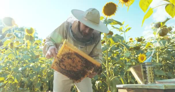 Preson Dalam Setelan Peternak Lebah Memegang Sarang Lebah Bingkai Penuh — Stok Video