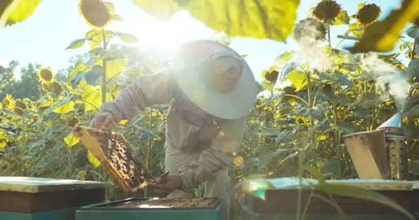 Countryside Apriär Koncept Man Biodlare Kostym Kostym Hålla Bikaka Full — Stockvideo