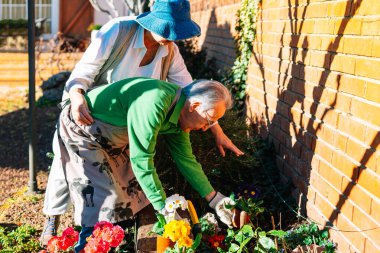 Yaşlı bir çift çalışıyor ve bahçelerine bakıyor.