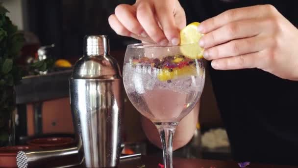 Deskundige barman garnering van een cocktail met een schijfje citrusvruchten in een cocktail. bereiden van een cocktail in een nachtclub — Stockvideo