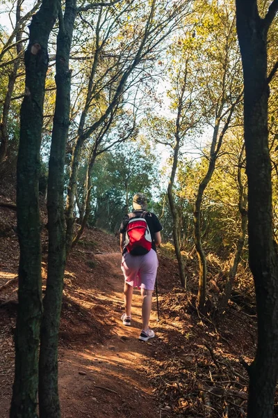 Young woman hiking on a forest track. enjoying her holiday. woman walking in nature. — стоковое фото