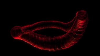 Si-fi red torus with particles and lines with glitch effect. Concept network connection. Frame distorted figure. Abstract technology background. 3D rendering.