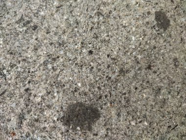 Terk edilmiş temel taşının yüzeyi hala sağlam ve güçlü görünüyor.