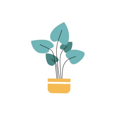 Esrar bitkisi çizimi. Ev bitkisi minimalist stili. Ev ve ofis için dekoratif bitki beyazı izole edilmiş