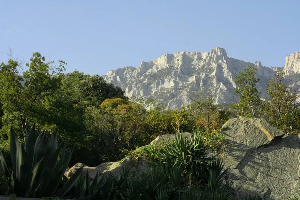 Gama Montanhas Atrás Árvores Verdes — Fotografia de Stock