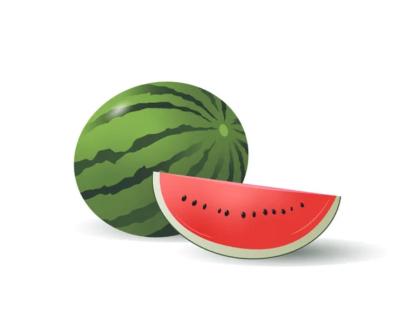 Illustration Realistic Watermelon Half Sliced Isolated White — Stock Vector