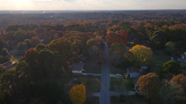 Vista aérea del dron de caída de los colores y árboles de otoño — Vídeos de Stock