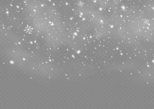 Falling Snow Flakes Blizzard Snow Background Heavy Snowfall Snowflakes Different — Stock vektor