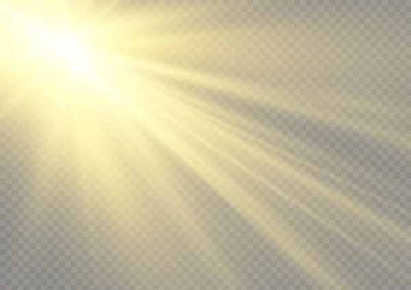 Яркие Золотые Вспышки Блики Солнечные Лучи Рассвет Звезда Вспышка Блики — стоковый вектор