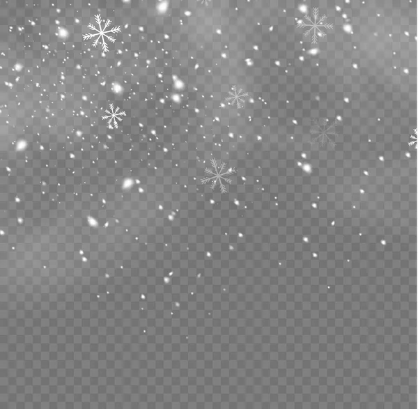 Falling Snow Flakes Blizzard Snow Background Heavy Snowfall Snowflakes Different — Stock vektor