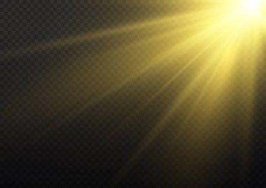 Parlak altın ışıklar ve röfleler. Güneş ışınları, şafak, yıldız, parıltı, parıltı. Şeffaf güneş ışığı özel lens flaş efekti. Parıltılı sarı güneş ışınları ya da altın parçacık parıltılı ışıklar. Vektör