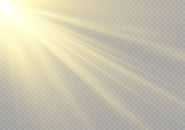 Parlak altın ışıklar ve röfleler. Güneş ışınları, şafak, yıldız, parıltı, parıltı. Şeffaf güneş ışığı özel lens flaş efekti. Parıltılı sarı güneş ışınları ya da altın parçacık parıltılı ışıklar. Vektör