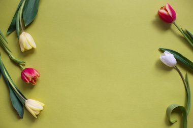 8 Mart 'ta kadınları tebrik etmek için arka planda laleler. Bahar kartpostalları için arkaplan.