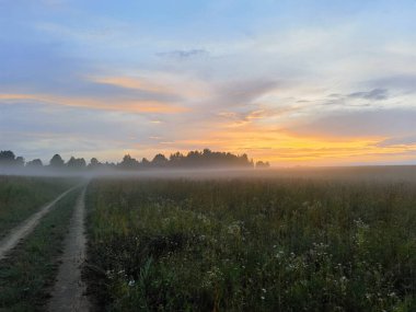Yaz otlarının arasından geçen yol.