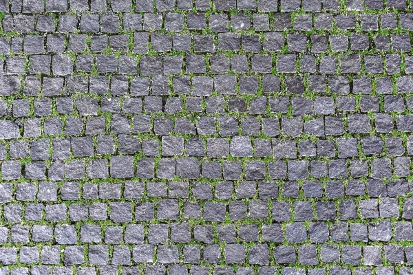 草で石畳の道の質感のオーバーヘッドビュー — ストック写真