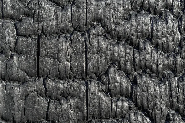 Burnt Wooden Board Texture Sho Sugi Ban Yakisugi Traditional Japanese — Photo