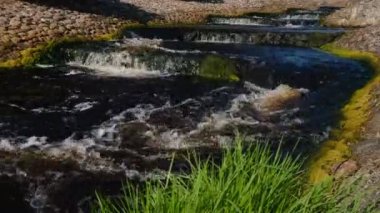 Fish Ladder in a sunny day