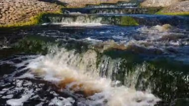 Fish Ladder in a sunny day