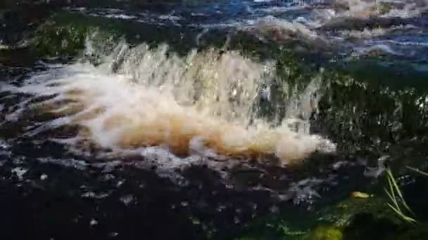 Fish Ladder Sunny Day — Stock video