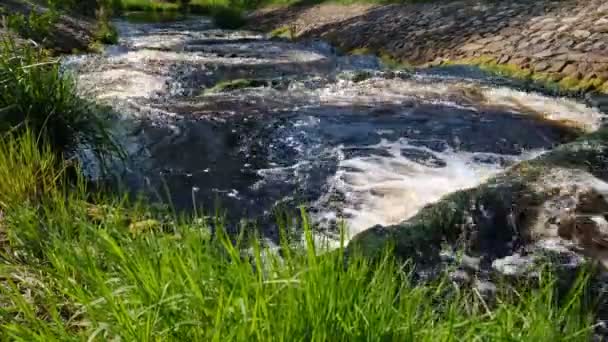 Fish Ladder Sunny Day — Stock video