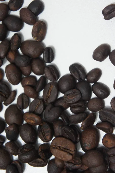 Witte Geïsoleerde Koffieboon Achtergrond Foto — Stockfoto