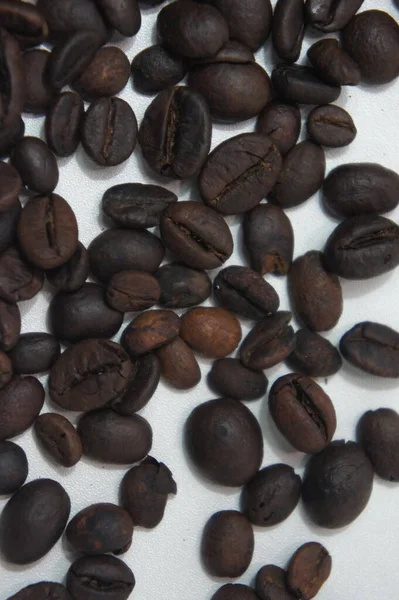 White Isolated Coffee Bean Background Photo — Stock Photo, Image