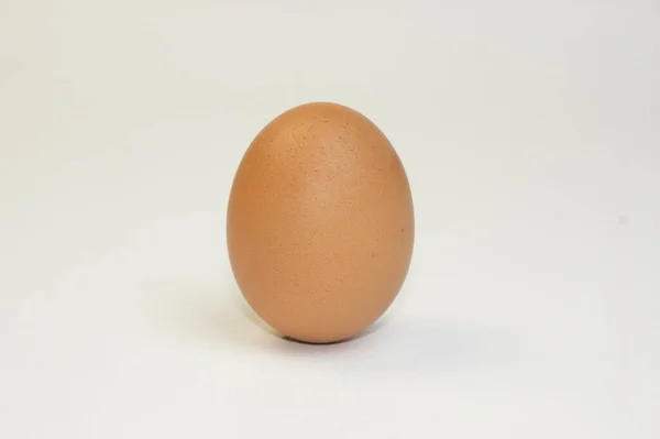 Închide Fotografia Ouălor Pui — Fotografie, imagine de stoc