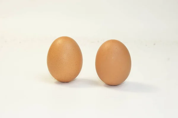 계란의 사진을 클로즈업 — 스톡 사진