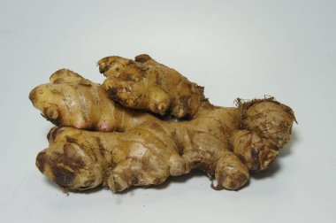 Ginger 'ın fotoğrafı beyaz bir arkaplanda izole edilmiş.