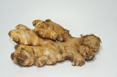 Ginger 'ın fotoğrafı beyaz bir arkaplanda izole edilmiş.