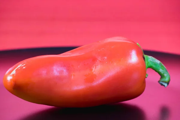 Red Sweet Pepper Black Plate Red Background — Stock Photo, Image