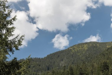 Ağaçlık tepelerin üzerinde beyaz bulutlar. Manzara Yüksek Dağ Aralığı.