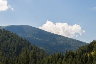 Ufukta bulutlu ve sisli dağların manzarası.