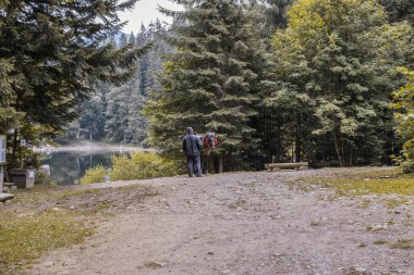 Bir adam turistleri beklerken atı tasmasından tutar.