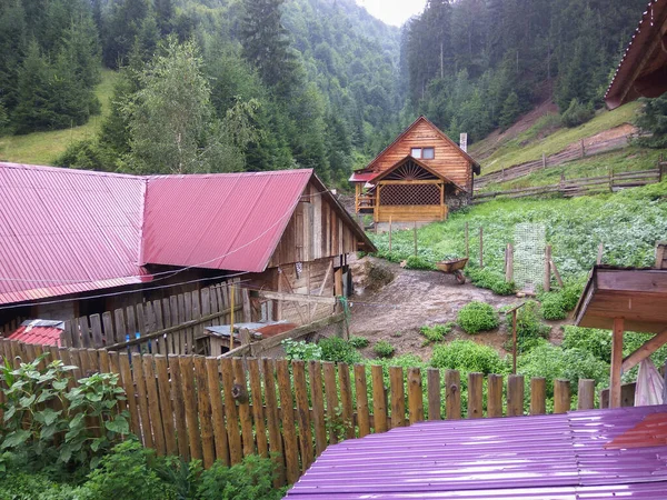 Transcarpathia Ukrayna Yağmur Sonrası Ormanın Ortasında Bir Dağ Köyü — Stok fotoğraf