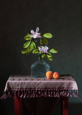 Vazoda bir buket manolya çiçeği. Kayısılar. Stillife