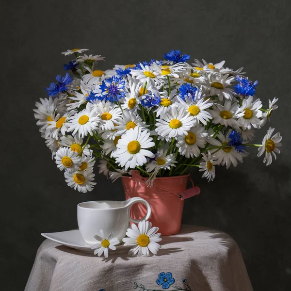 Ramo Flores Verano Manzanillas Acianos Blanco Azul —  Fotos de Stock