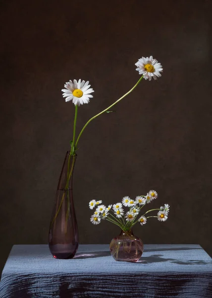 花瓶里的一束迷迭香和雏菊 — 图库照片