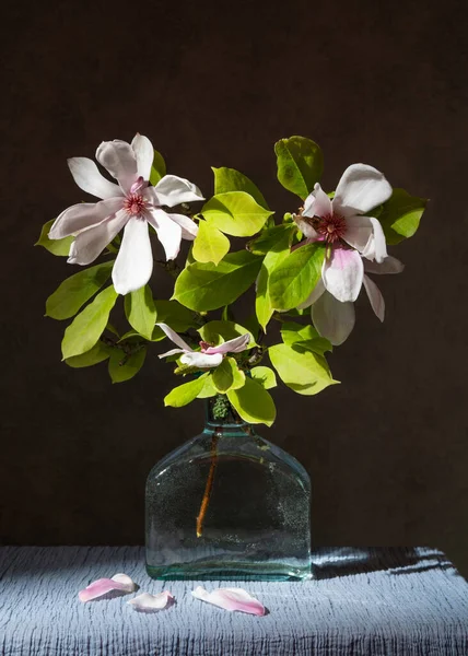 Masanın Üzerindeki Vazoda Duran Manolya Çiçekleri — Stok fotoğraf
