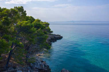 Drone footage. Beautiful nature. Path by the sea. Pine trees over turquoise water. Summer landscape. Mountains, blue Adriatic sea. Wild, romantic beach. Pleasure. Vacation. Relax. Romance.