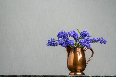 Hassas bir buket. Açık gri arka planda bakır bir sürahi içinde Hyacinth Muscari. Şefkat. İlkbaharın taze kokusu. Sakin sakin hayat.