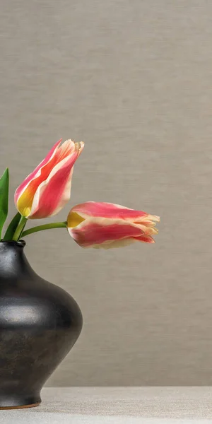 Cuatro Tulipanes Escarlata Una Jarra Barro Gris Sobre Fondo Gris —  Fotos de Stock